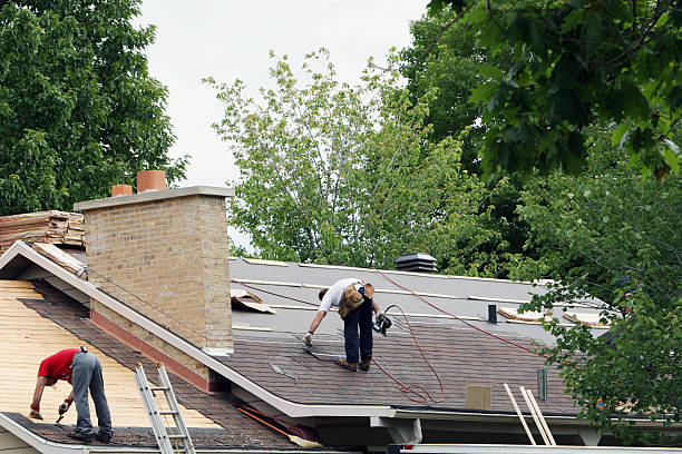 Best Storm Damage Roof Repair  in Salem, MO